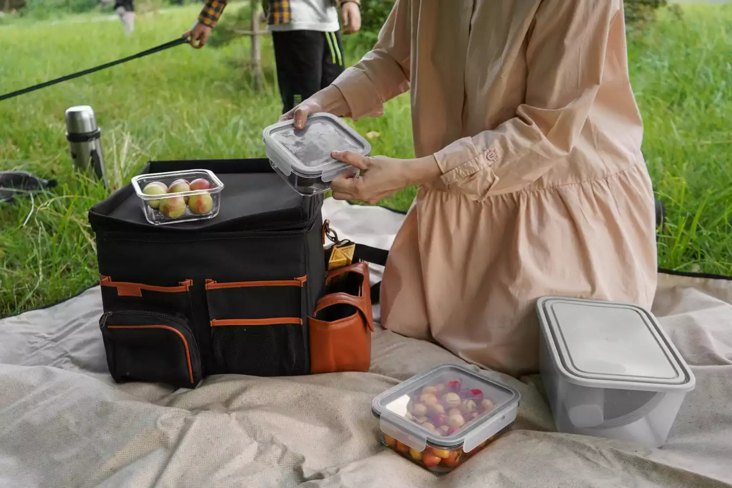 portable picnic blanket